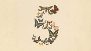 Claude Fable 5 - Claude Fable 5 출시, 클로드가 선을 하나 넘었다